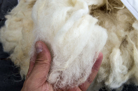 Close-up of a hand holding soft Merino wool