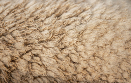 merinowoolfibre