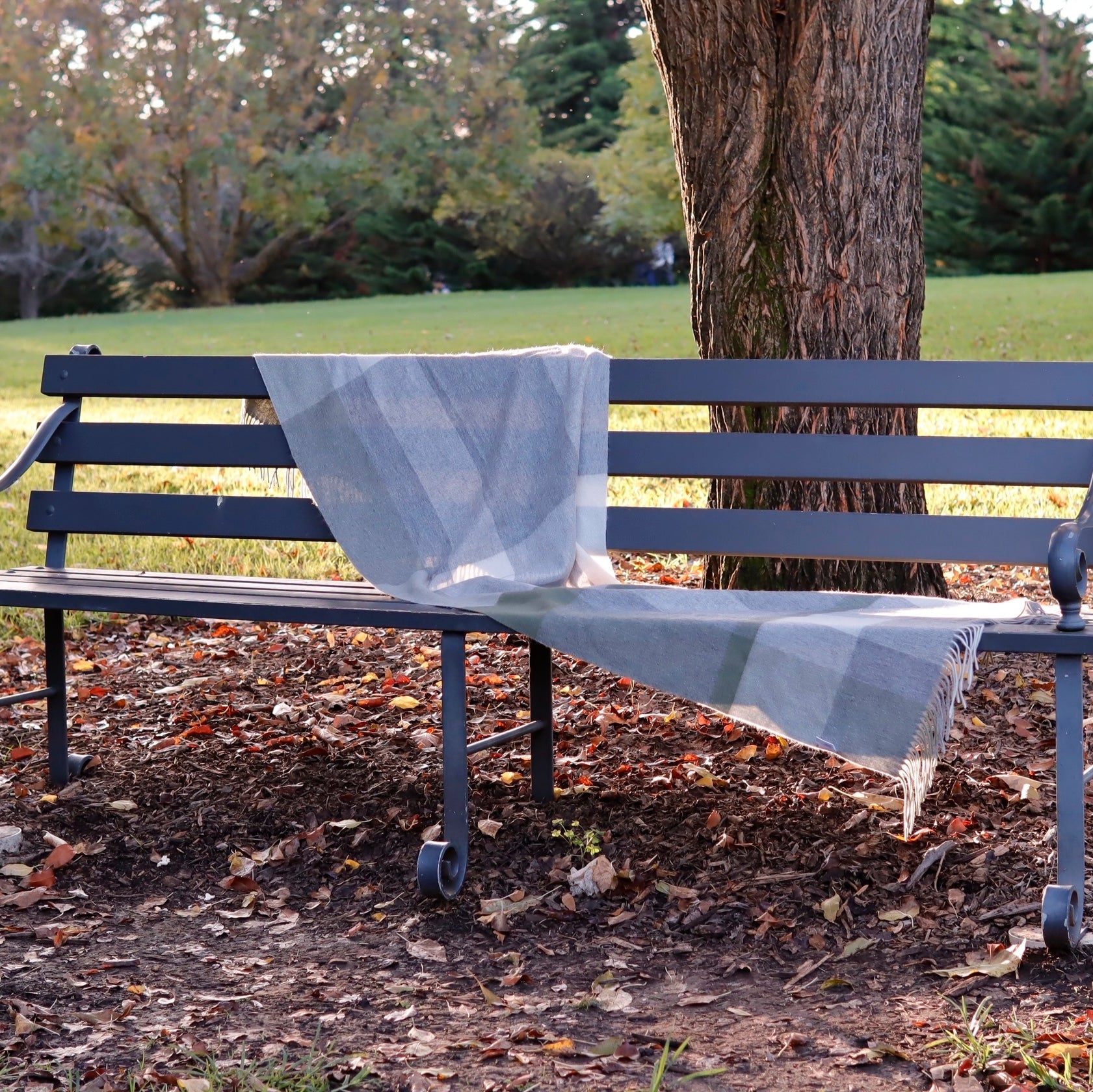 A light gray and white plaid fringed throw blanket draped over a dark gray metal park bench next to a tree trunk, with a grassy park in the background.