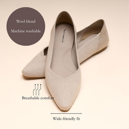 Beige pointed-toe flats with feature labels on a beige background