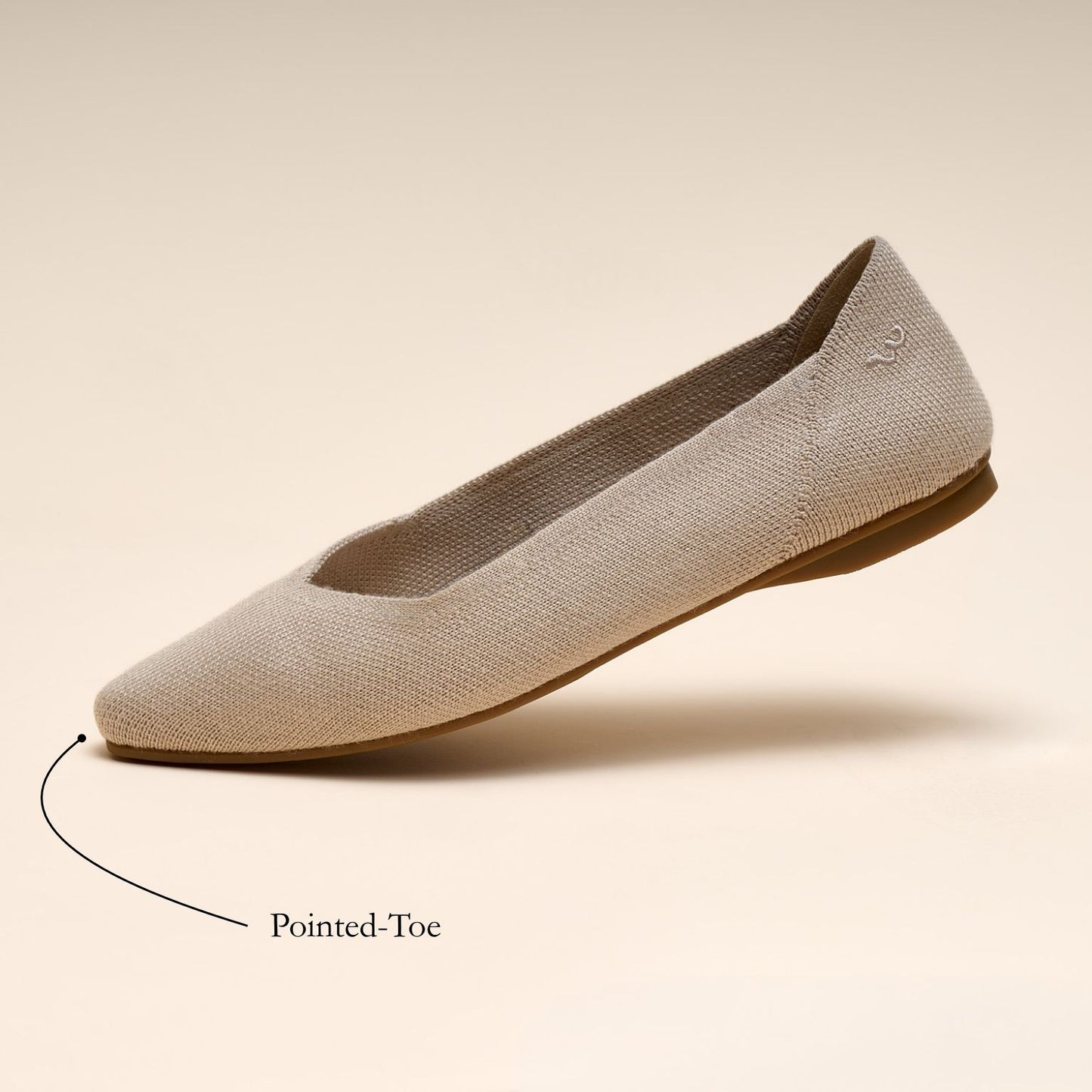 Beige flat shoe with pointed toe on a beige background
