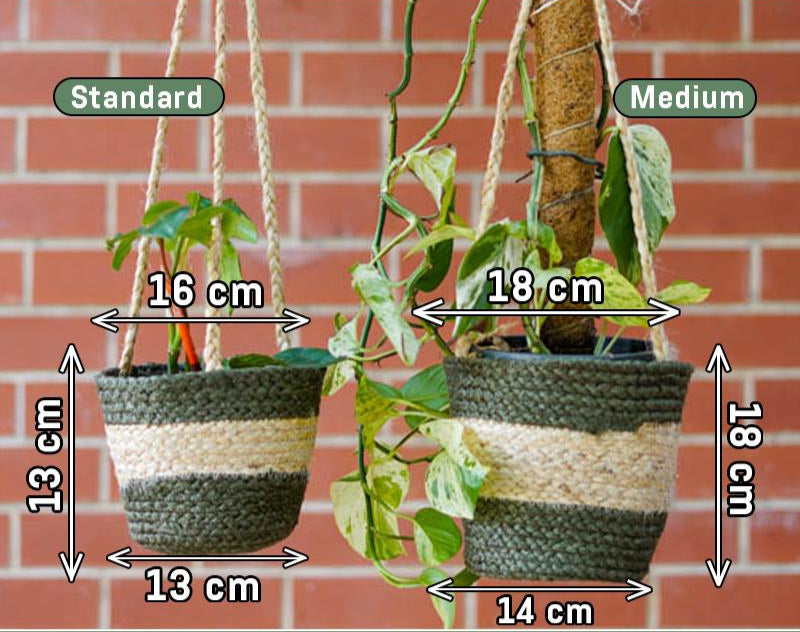 Plant Hanger